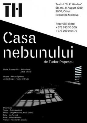 Casa nebunului